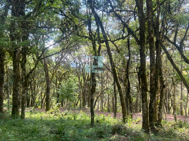 null: 5ª foto da galeria de imagens do imóvel