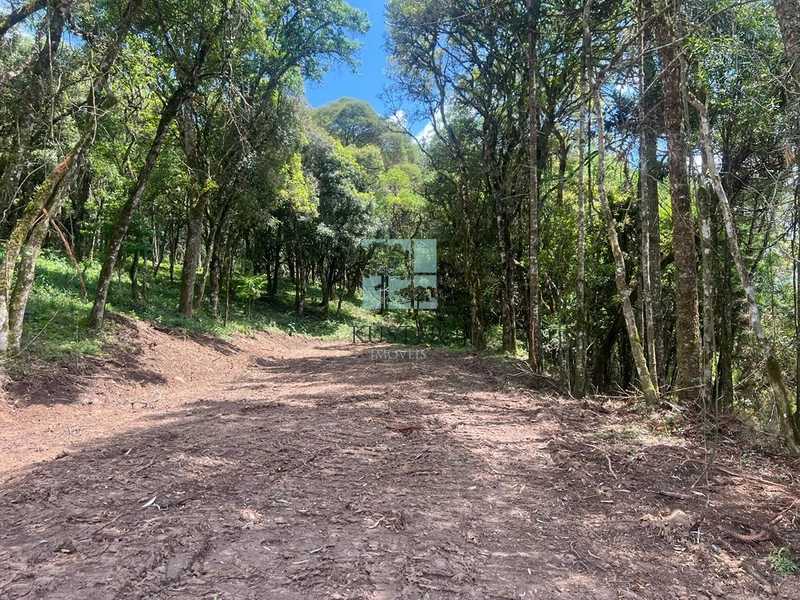 null: 6ª foto da galeria de imagens do imóvel