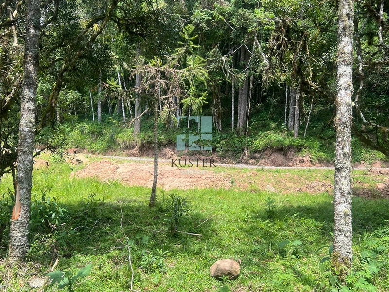 null: 8ª foto da galeria de imagens do imóvel