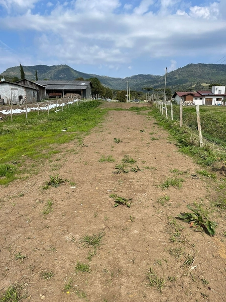 Terreno Plano: 2ª foto da galeria de imagens do imóvel
