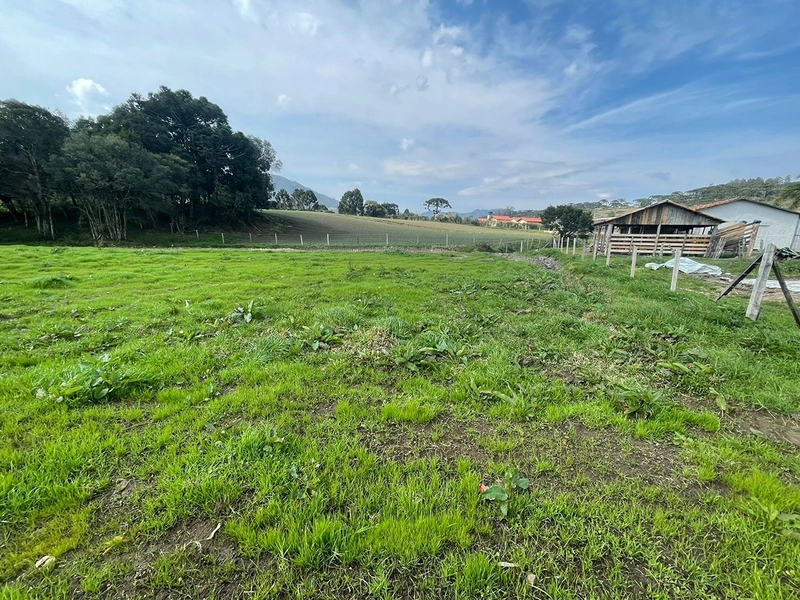 Terreno Plano: 1ª foto da galeria de imagens do imóvel