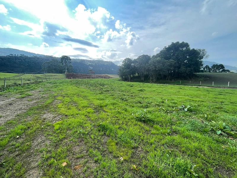 Terreno Plano: 3ª foto da galeria de imagens do imóvel