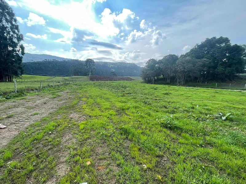 Terreno Plano: 4ª foto da galeria de imagens do imóvel