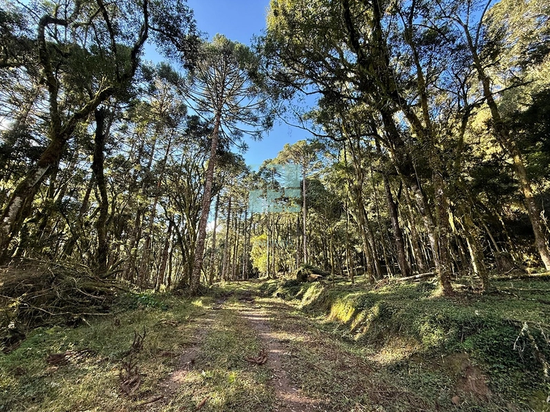 Seu Terreno em Urubici: 3ª foto da galeria de imagens do imóvel