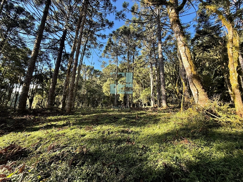 Seu Terreno em Urubici: 1ª foto da galeria de imagens do imóvel