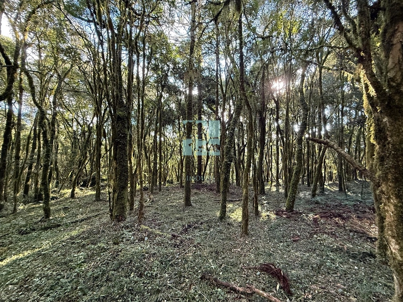 Seu Terreno em Urubici: 11ª foto da galeria de imagens do imóvel
