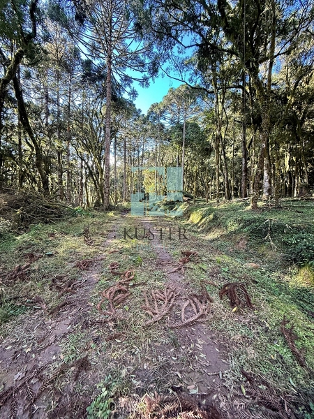 Seu Terreno em Urubici: 7ª foto da galeria de imagens do imóvel
