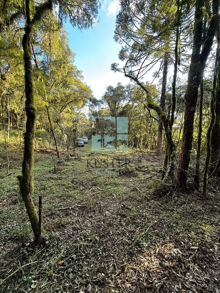 Seu Terreno em Urubici: 2ª foto da galeria de imagens do imóvel