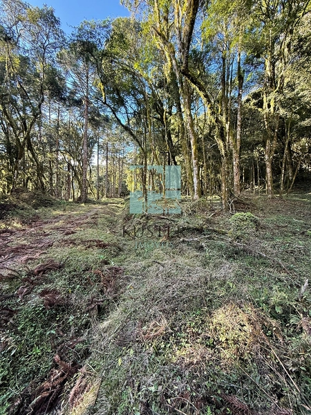 Seu Terreno em Urubici: 8ª foto da galeria de imagens do imóvel
