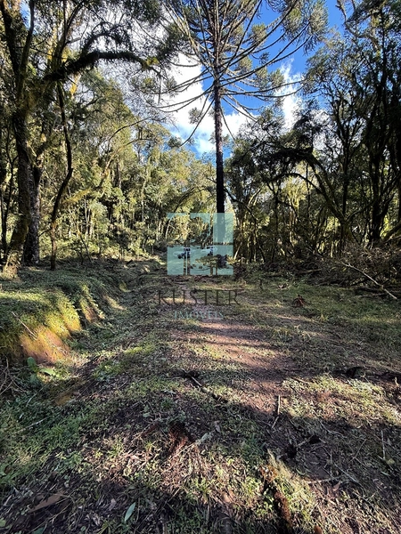 Seu Terreno em Urubici: 14ª foto da galeria de imagens do imóvel
