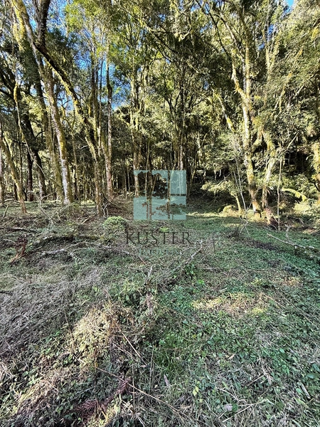 Seu Terreno em Urubici: 6ª foto da galeria de imagens do imóvel