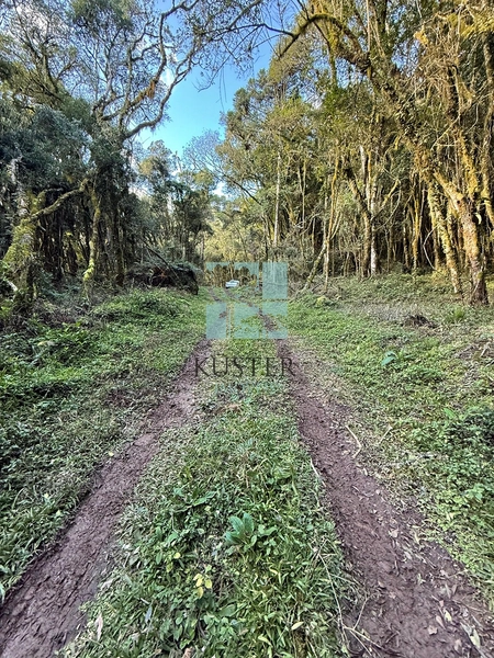 Seu Terreno em Urubici: 12ª foto da galeria de imagens do imóvel