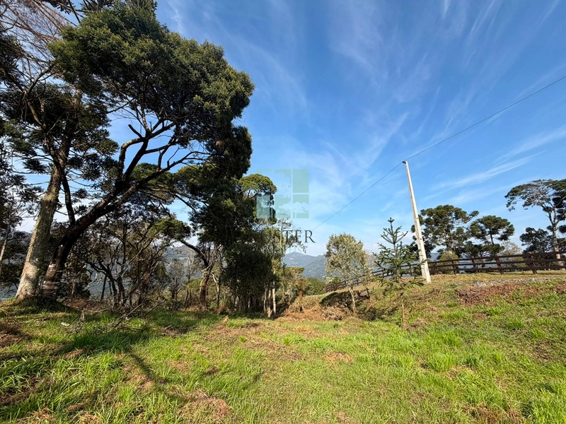 Terreno com Vista: 6ª foto da galeria de imagens do imóvel