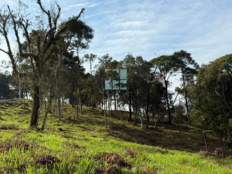 Terreno com Vista: 14ª foto da galeria de imagens do imóvel