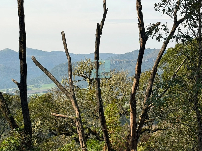 Terreno com Vista: 7ª foto da galeria de imagens do imóvel