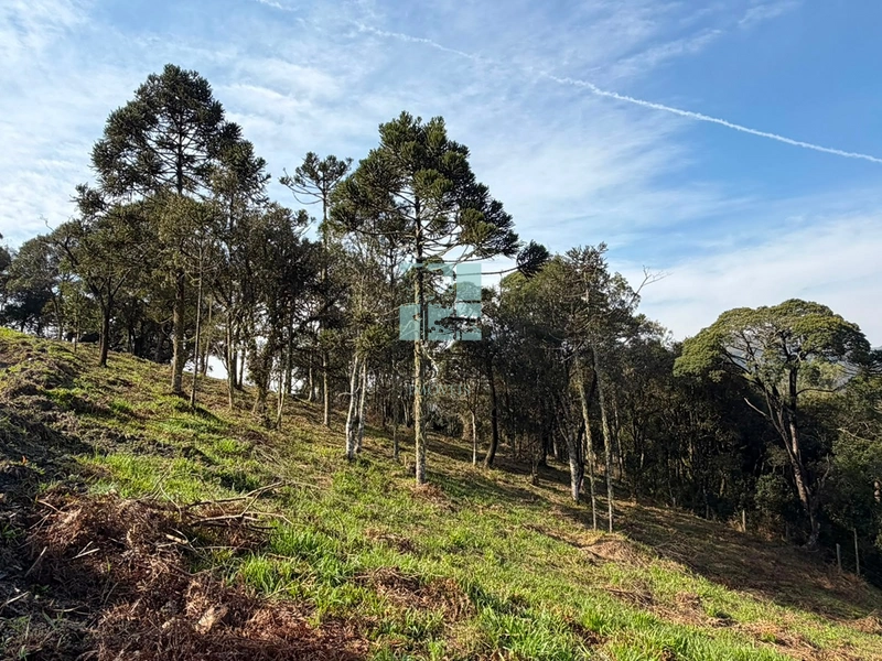 Terreno com Vista: 13ª foto da galeria de imagens do imóvel