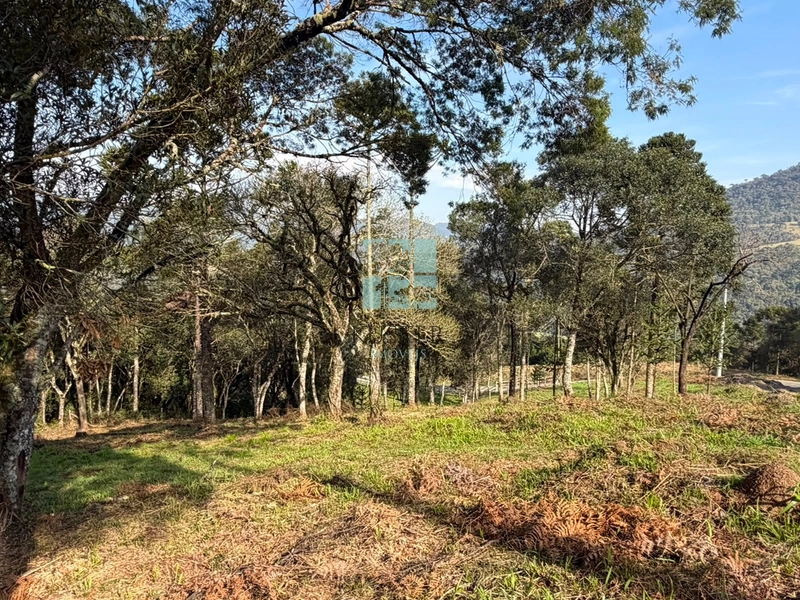 Terreno com Vista: 1ª foto da galeria de imagens do imóvel