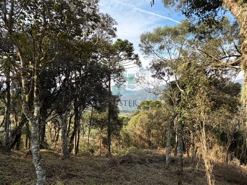Terreno com Vista: 4ª foto da galeria de imagens do imóvel