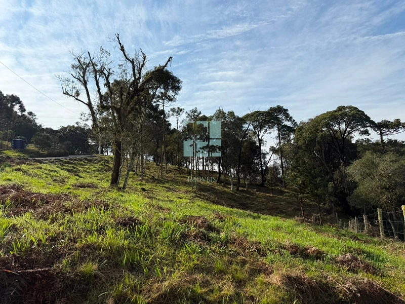 Terreno com Vista: 12ª foto da galeria de imagens do imóvel