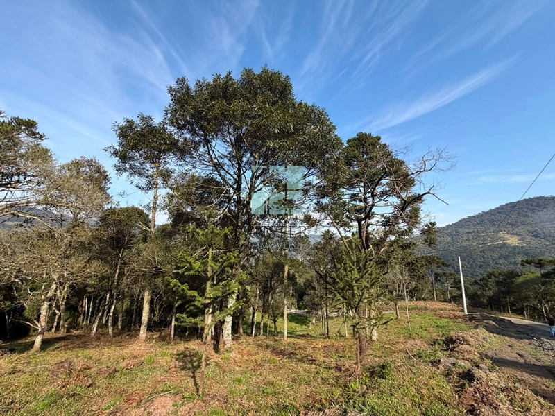 Terreno com Vista: 3ª foto da galeria de imagens do imóvel