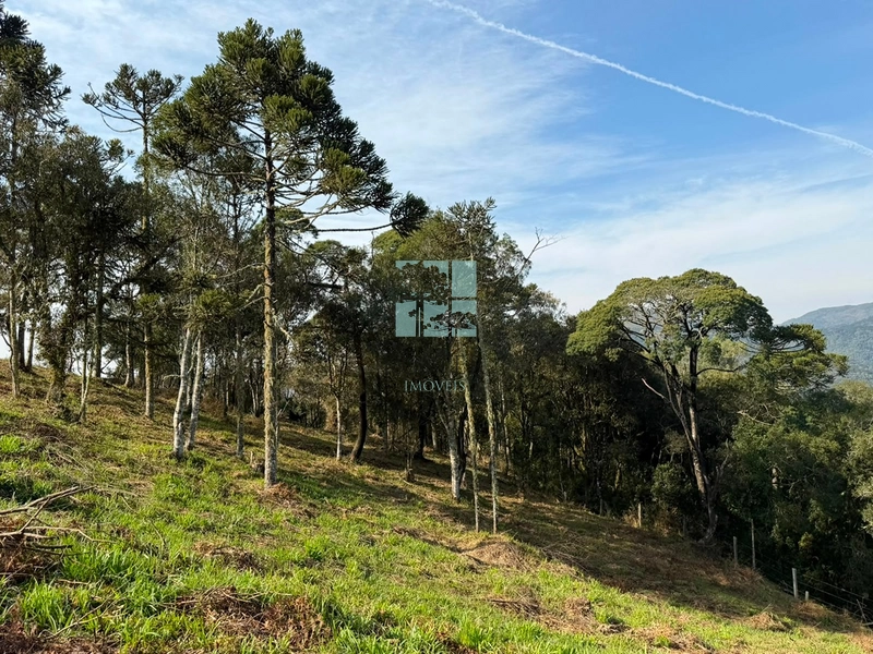 Terreno com Vista: 15ª foto da galeria de imagens do imóvel