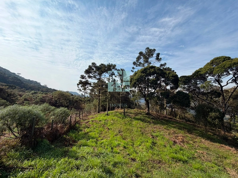 Terreno com Vista: 10ª foto da galeria de imagens do imóvel