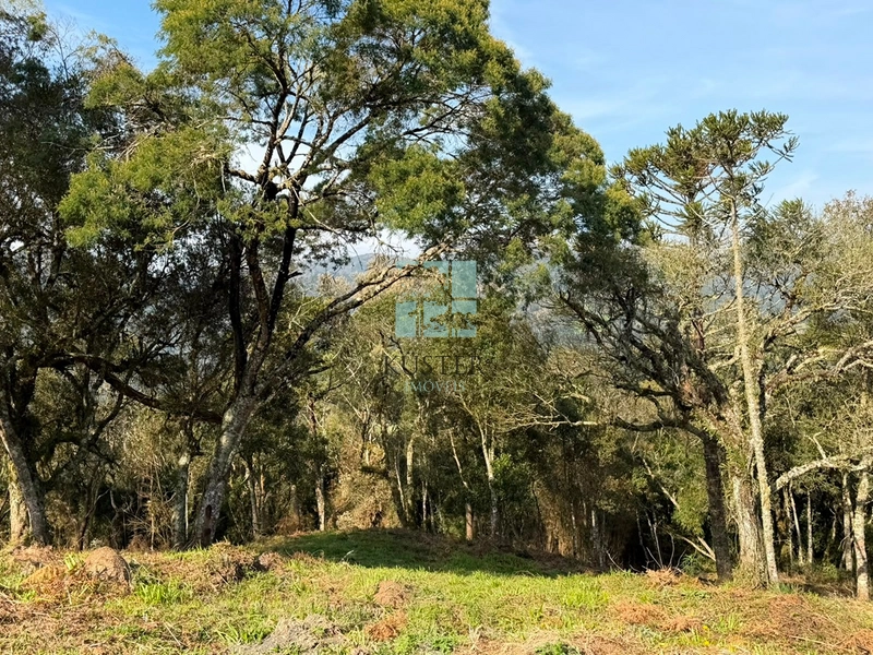 Terreno com Vista: 9ª foto da galeria de imagens do imóvel
