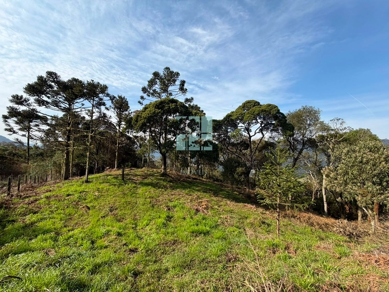Terreno com Vista: 5ª foto da galeria de imagens do imóvel
