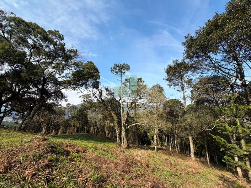 Terreno com Vista: 16ª foto da galeria de imagens do imóvel