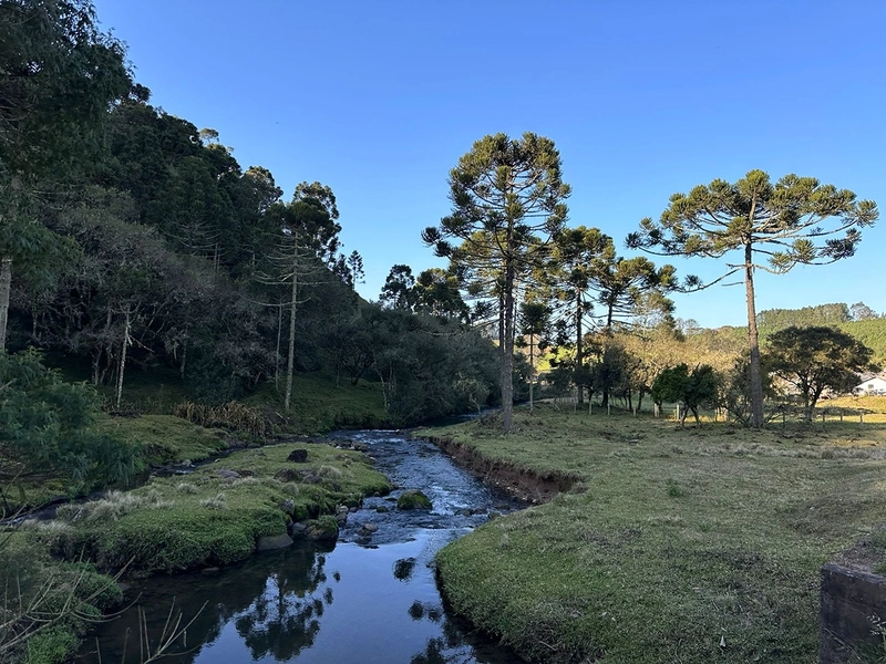 Belissima Fazenda: 19ª foto da galeria de imagens do imóvel