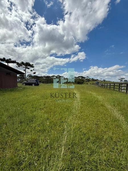 null: 8ª foto da galeria de imagens do imóvel