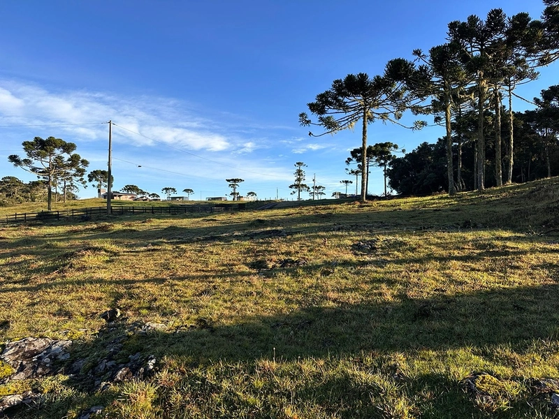 Vista para o Vale: 10ª foto da galeria de imagens do imóvel