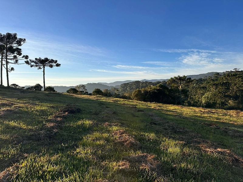 Vista para o Vale: 1ª foto da galeria de imagens do imóvel