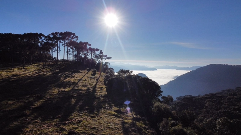 Vista para o Vale: 3ª foto da galeria de imagens do imóvel
