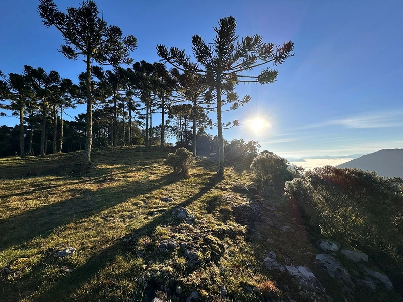 Vista para o Vale: 8ª foto da galeria de imagens do imóvel