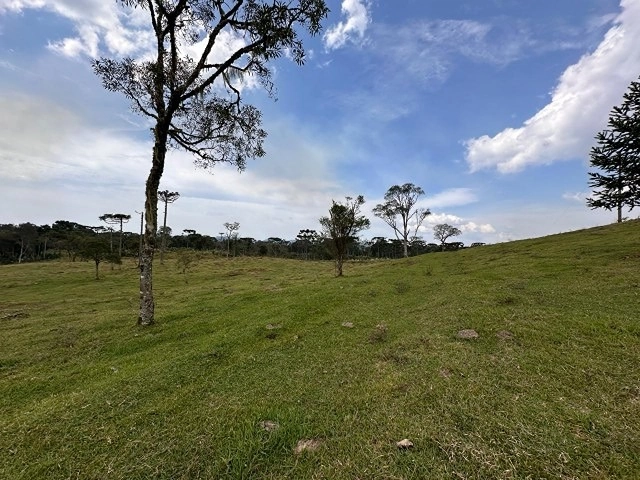 Terreno de Altitude: 11ª foto da galeria de imagens do imóvel