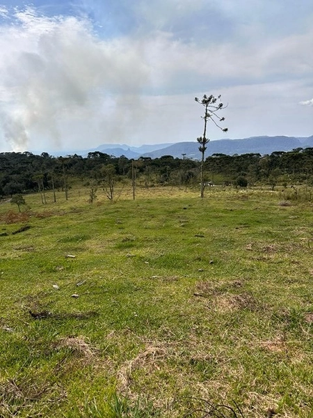 Terreno de Altitude: 7ª foto da galeria de imagens do imóvel