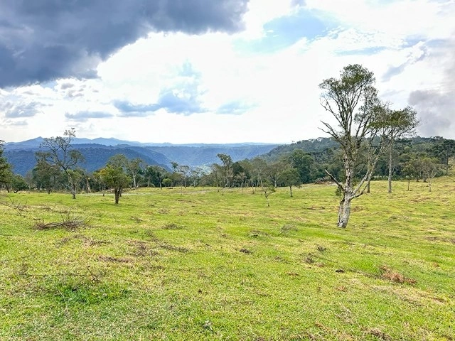 Terreno de Altitude: 1ª foto da galeria de imagens do imóvel