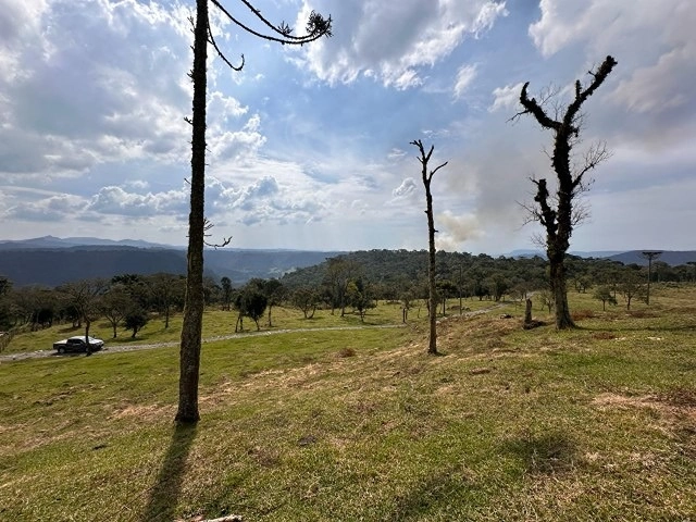 Terreno de Altitude: 3ª foto da galeria de imagens do imóvel