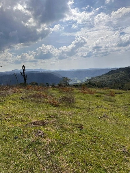 Terreno de Altitude: 9ª foto da galeria de imagens do imóvel