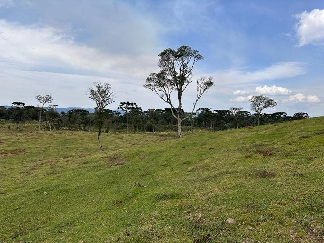Terreno de Altitude: 5ª foto da galeria de imagens do imóvel