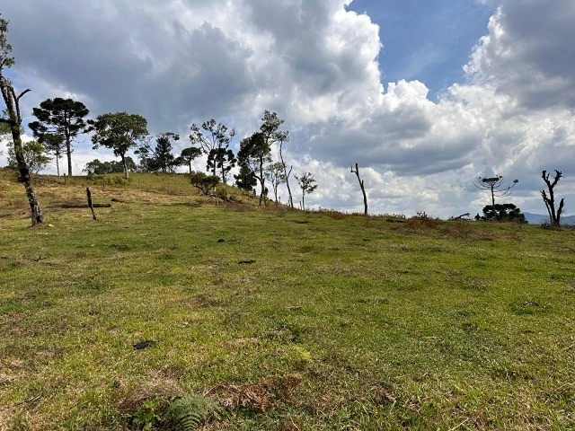 Terreno de Altitude: 6ª foto da galeria de imagens do imóvel