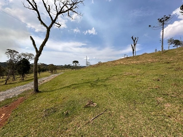 Terreno de Altitude: 2ª foto da galeria de imagens do imóvel