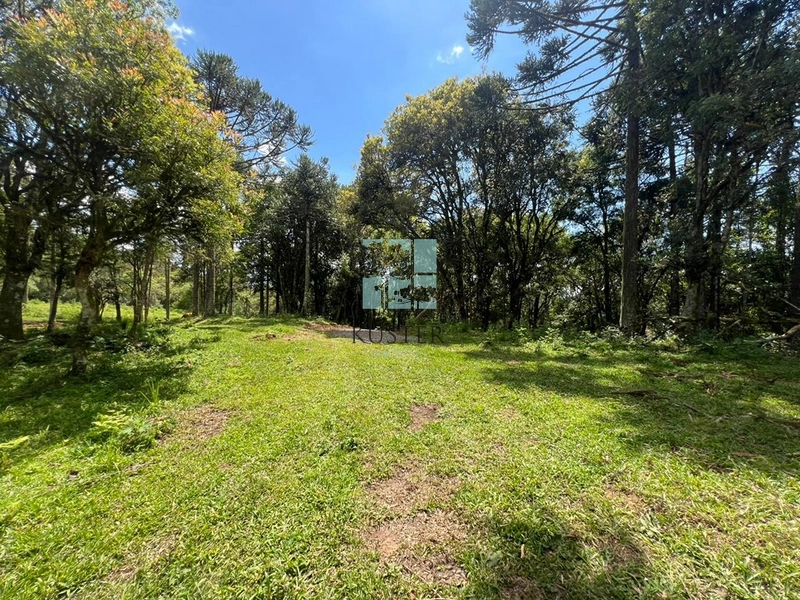 null: 8ª foto da galeria de imagens do imóvel