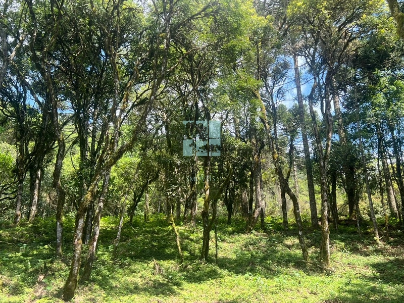 null: 6ª foto da galeria de imagens do imóvel