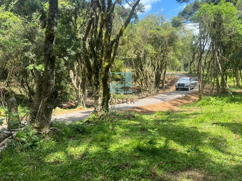 null: 7ª foto da galeria de imagens do imóvel