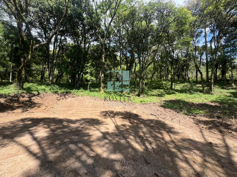 null: 4ª foto da galeria de imagens do imóvel