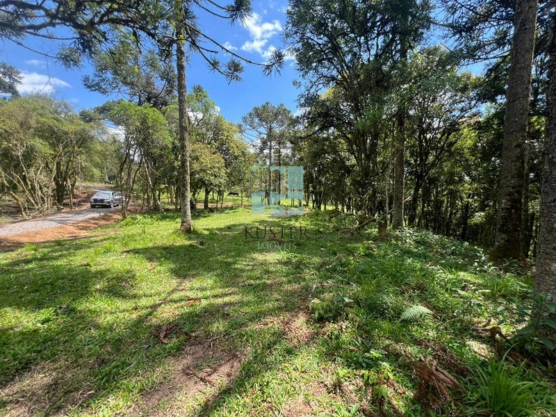 null: 3ª foto da galeria de imagens do imóvel