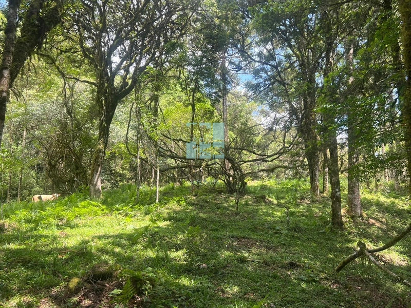 null: 5ª foto da galeria de imagens do imóvel