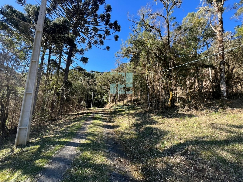 Terreno de Altitude: 6ª foto da galeria de imagens do imóvel